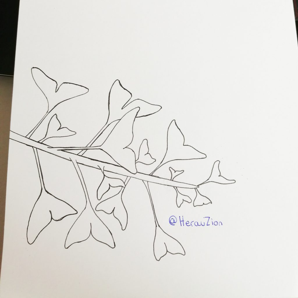Dessin du 10ème jour de l'Inktober 2020 sur le thème Espoir (les feuilles de Ginkgo Biloba peuvent représenter l'espoir)