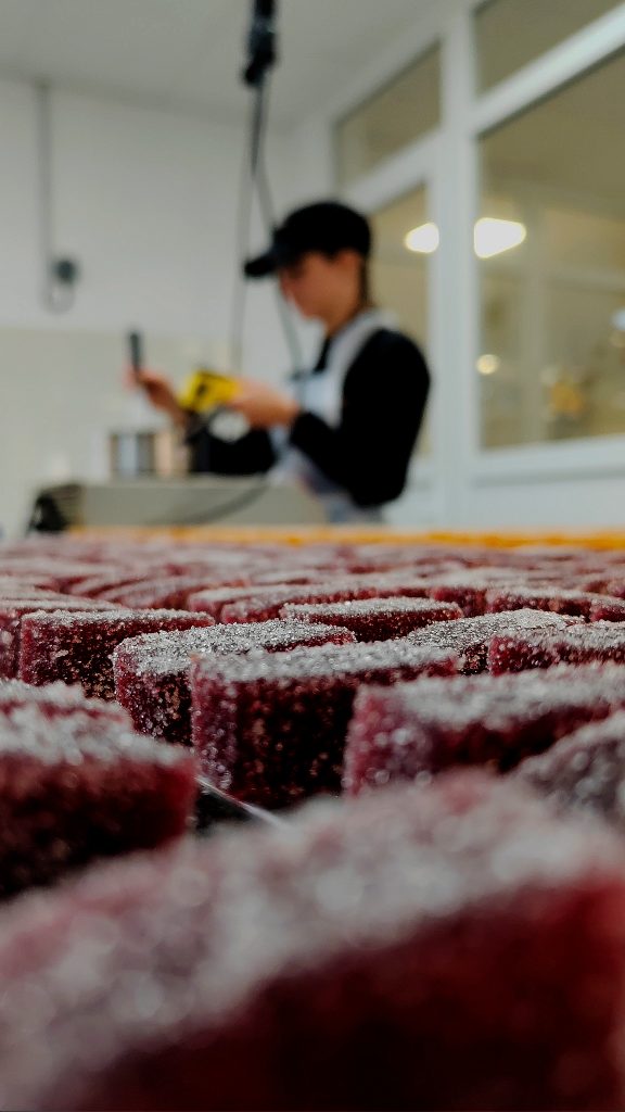 Photo de Pâtes de Fruits pour Bertrand Chocolatier durant mon alternance
