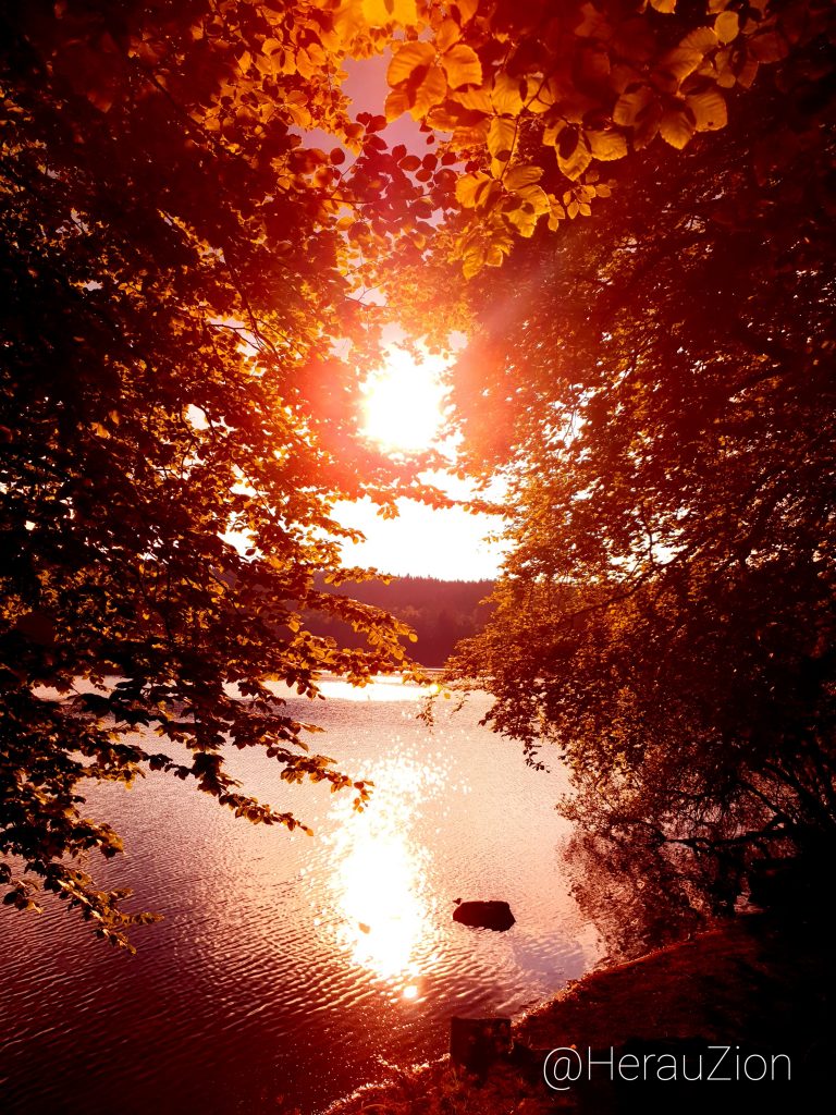 Photo réalisée lors d'un couché de soleil au bord d'un lac